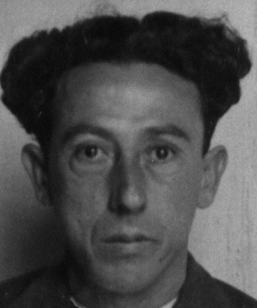 José Júlio Ferreira